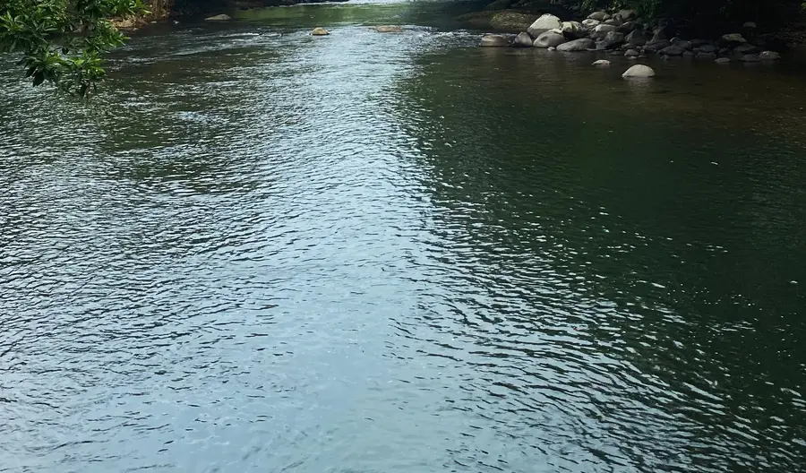 A river running through dense Ecuadorian rainforest